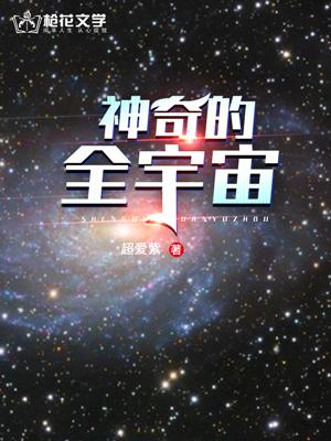 神奇的全宇宙小说